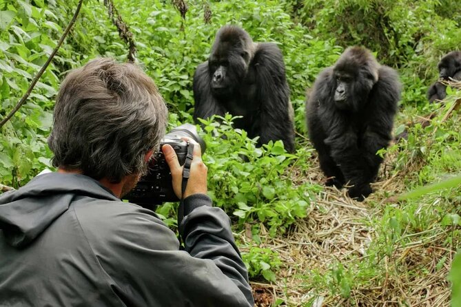 3 Day Uganda Gorilla Trekking and Batwa Pygmies Experience - The missing Batwa experience deserves a direct question