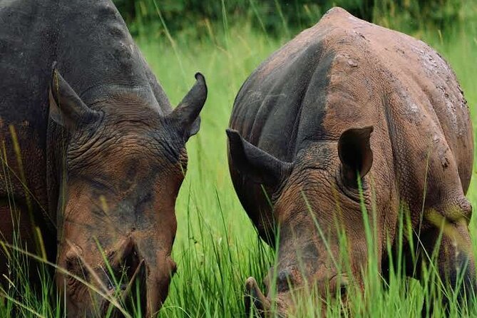3-Day Ultimate Big Five Safari - Murchison Falls & Rhinos - Seeing Murchison Falls from above
