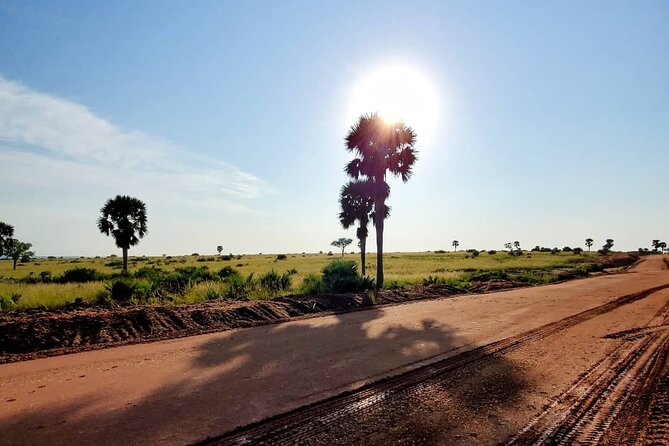 3 Days 2 Nights, Murchison Falls And Wildlife Safari - Meals, lodging, and what the price really covers