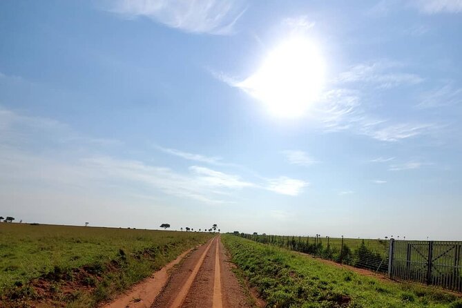 3 Days 2 Nights, Murchison Falls And Wildlife Safari - What impressed me most about the experience