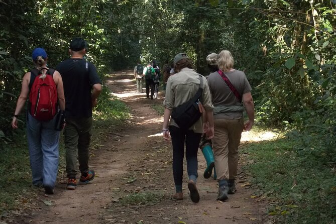 3 Days Bwindi Gorilla Trekking tour - The long road from Kampala to Bwindi