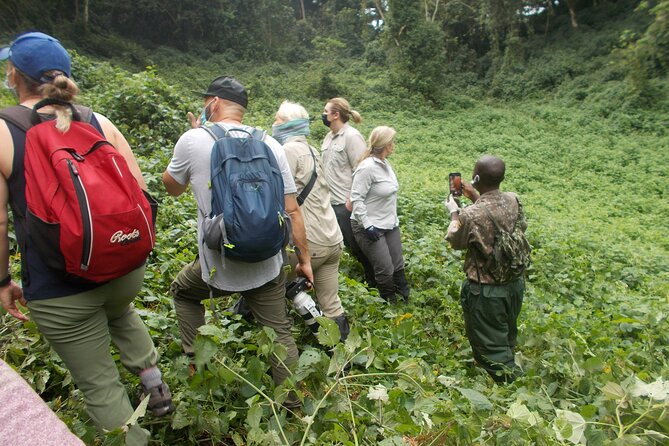 3 Days Bwindi Gorilla Trekking tour - Is $1,850 a fair price?