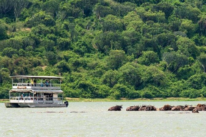 3 Days gorilla trekking Safari tour in Uganda - The real cost of a three-day gorilla safari