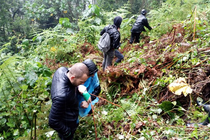 3 Days Gorilla trekking Safari Uganda, Bwindi Impenetrable Forest - Day One: The Long Road from Kampala to Bwindi