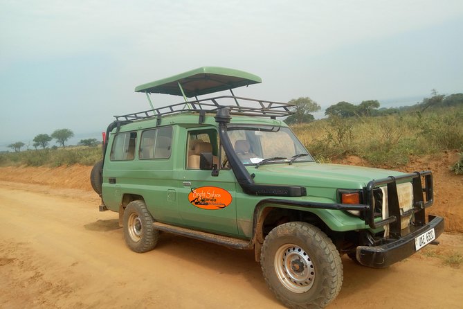 3 Days Lake Bunyonyi and Gorilla Trekking Tour in Uganda - What the guide and group size mean for the experience