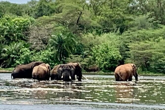 3 Days magical Murchison falls safari - Booking details worth confirming