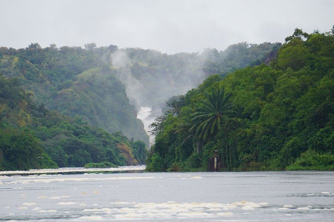 3 Days Murchison Falls Adventure Wildlife Safari Uganda Tour - Three days from Entebbe to Uganda’s great river park