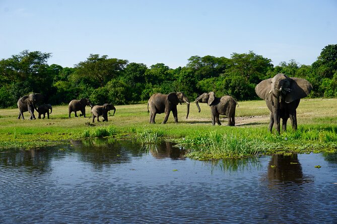 3 Days Murchison Falls Adventure Wildlife Safari Uganda Tour - Day one: a long road north and a first game drive