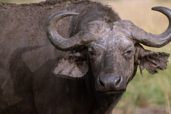 3 Days Murchison Falls Adventure Wildlife Safari Uganda Tour - Who will enjoy this trip most