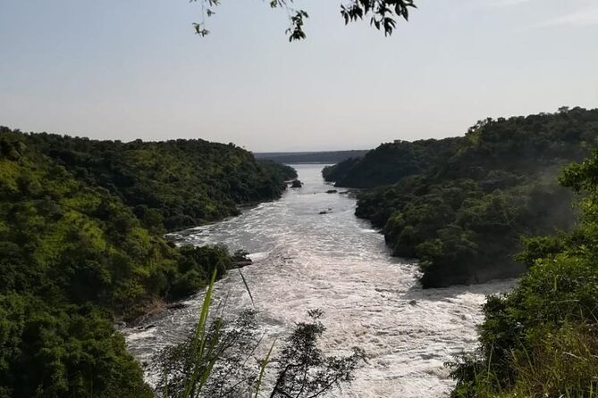 3 Days Murchison Falls National Park Safari & Rhino tracking - Standing above the 45-meter waterfall