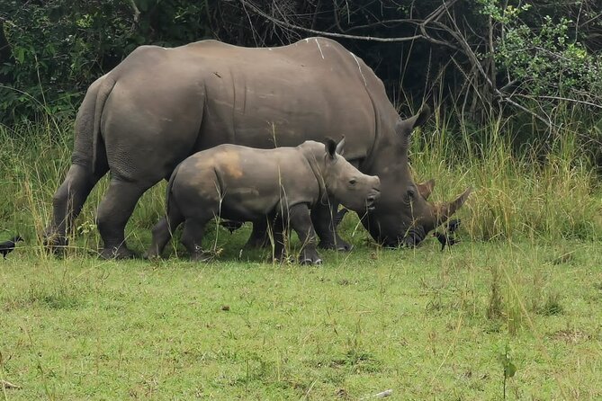 3 Days Murchison falls park Uganda - The long road is part of the bargain