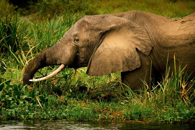 3 Days Private Tour in Murchison Falls National Park - Day one: the road from Entebbe to the park