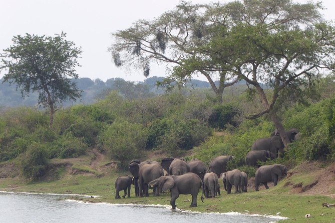 3 days Queen Elizabeth National Park Uganda Safari - Day 1: the Equator and the long road west