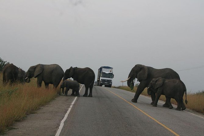3 days Queen Elizabeth National Park Uganda Safari - Wildlife: what you can reasonably hope to see