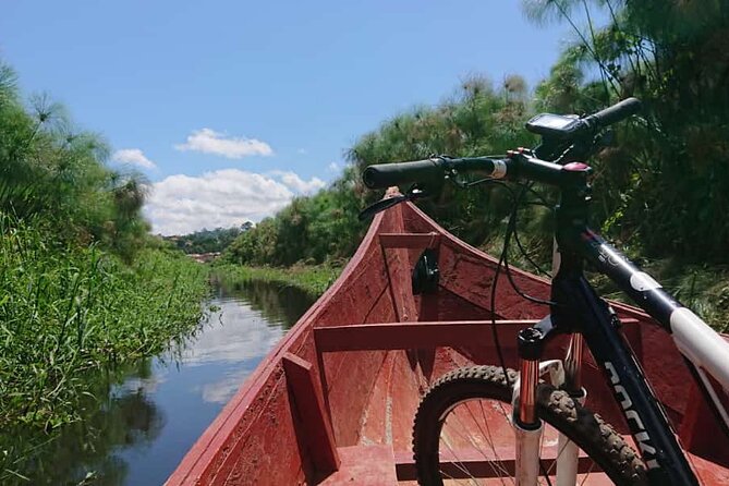 3 Hours Guided Cycling Tour Across Lake Victoria - Lake views, birds, and life around the water