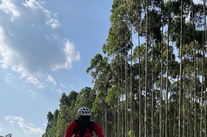 3 Hours Guided Cycling Tour Across Lake Victoria - Is the $60 price good value?