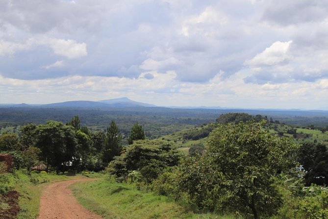 4-Day Gorillas, Wildlife and Chimpanzee Trek at Kalinzu Forest - The value of the guide team