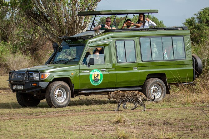 4-Day QENP, Gorillas in Bwindi and Lake Bunyonyi relaxation - What the $4,770 price means