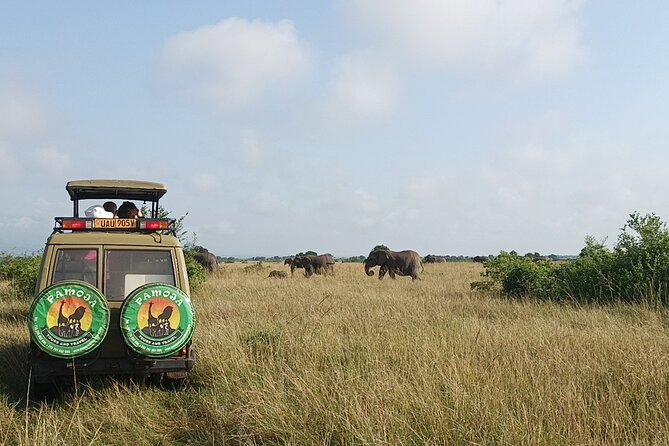 4-Day QENP, Gorillas in Bwindi and Lake Bunyonyi relaxation - Who should book this route