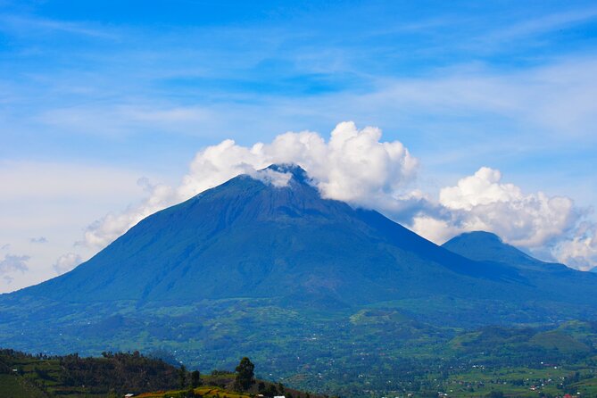4 Days Gorilla tracking Tour in Uganda - Why this four-day route works