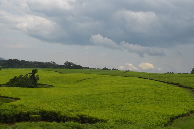 4 Days Gorilla tracking Tour in Uganda - Day 3: Lake Bunyonyi by boat and on foot