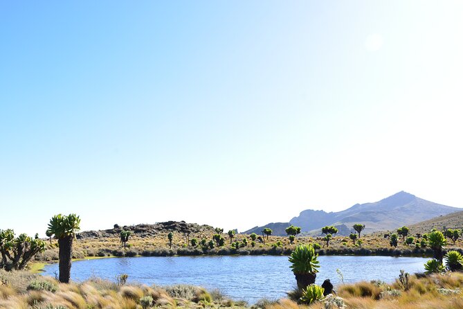 4 Days mount Elgon Trek, 4321m a.s.l - The guide and crew make a real difference