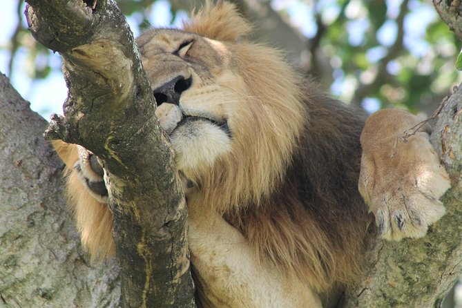 5-Day Big 5 Kidepo valley National Park Safari - Why Kidepo feels different from a standard Uganda safari