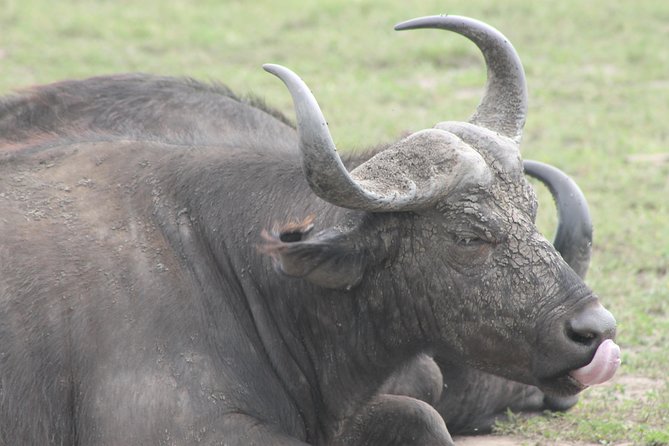 5-Day Big 5 Kidepo valley National Park Safari - Day 2: Entering Kidepo Valley National Park