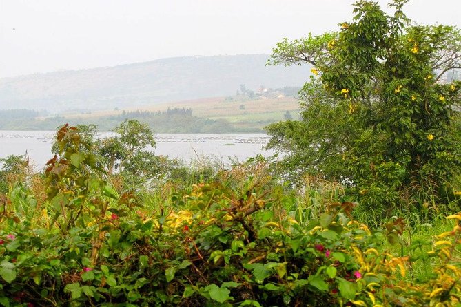 5 Day Gorillas, Wildlife and Kalinzu Forest Chimp Trek - What the $2,780 price really buys