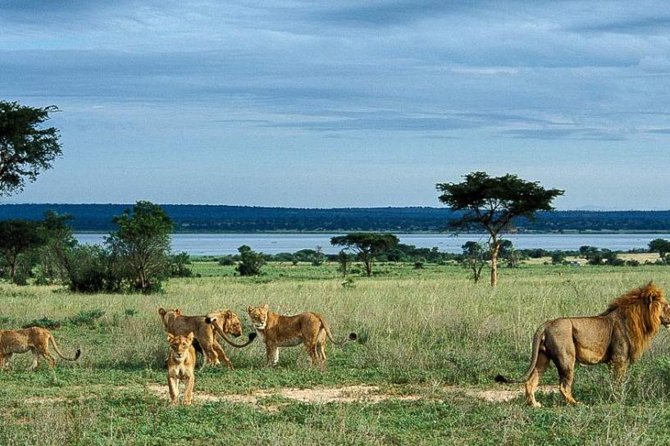 5-Day Murchison Falls, Budongo Chimps, Wildlife Big 5 Safari - Day one: A soft landing in Kampala or Entebbe