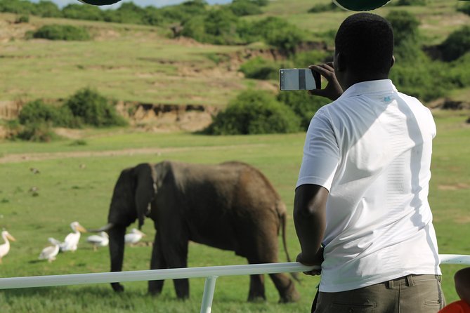 6-Day Queen Elizabeth and Mburo Luxury Safari - Two parks, several ways to see Uganda