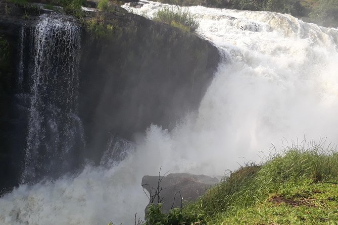 6 Days Chimps, Gorillas & Murchison Falls Africa's Big Five Experience Safari - Day 1: Kampala to Murchison Falls and the Nile’s narrow rush