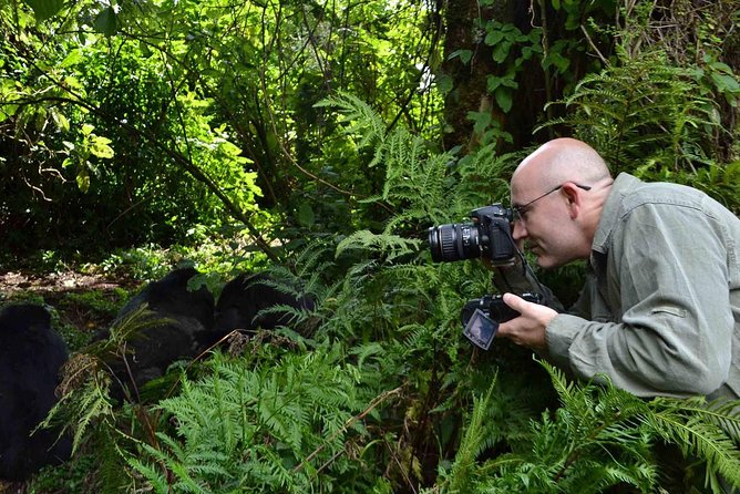 6 Days Chimps, Gorillas & Murchison Falls Africa's Big Five Experience Safari - Day 6: an early departure and a careful flight plan