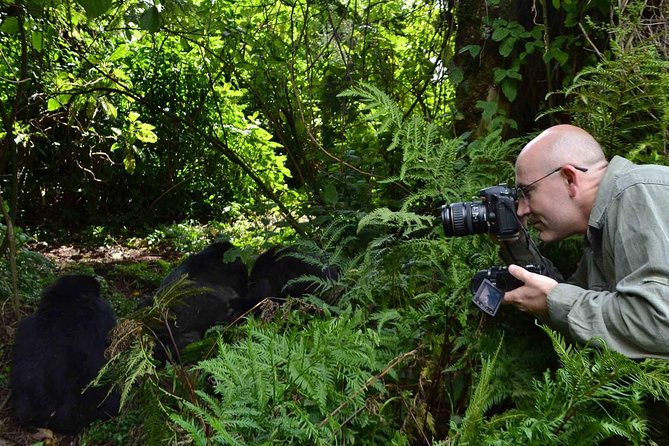6 Days Chimps, Gorillas & Murchison Falls Africa's Big Five Experience Safari - What the $4,650 price really covers