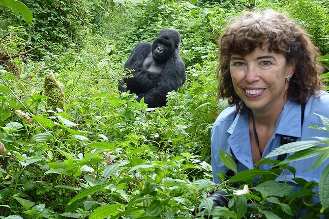 6 Days Uganda Gorilla, Chimps Trekking and Wildlife Safari - From Entebbe to Uganda’s western forests