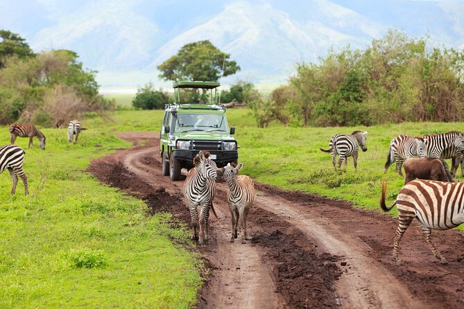 7-Day Private Uganda Gorilla Tracking Safari Tour From Entebbe - Day 3: Big game and the Kazinga Channel