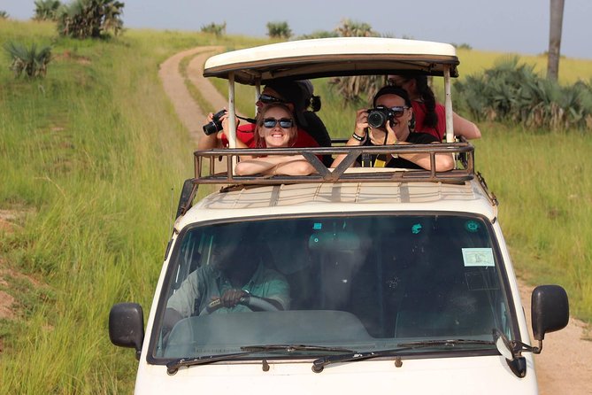 7-Day Uganda Adventure Safari - Midrange Lodges - Day six: northern game drive and the Ishasha lion search