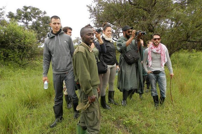 7-Day Uganda Adventure Safari - Midrange Lodges - Day seven: returning to Entebbe via the equator