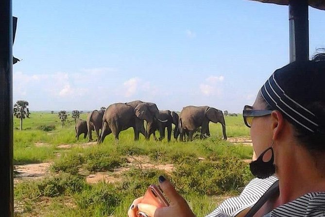 7-Day Uganda Adventure Safari - Midrange Lodges - Day two: walking with rhinos at Ziwa