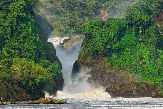 8-Day Murchison Falls, Chimp and Epic Gorilla Trekking - Why this Uganda route works