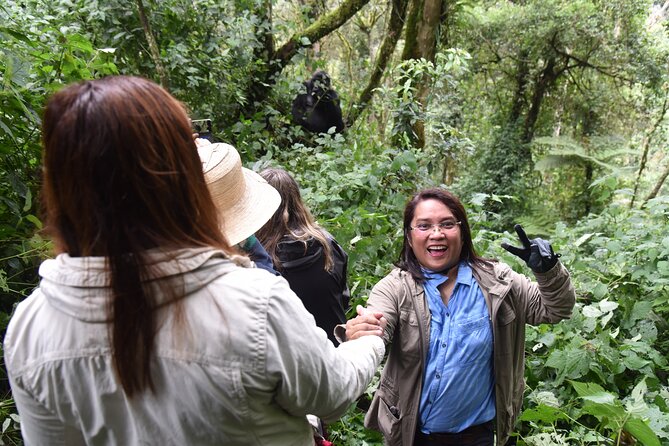 8-Day Private Uganda Big 5 Luxury Safari with Gorillas and Chimps - Day 7: Gorilla tracking in Bwindi