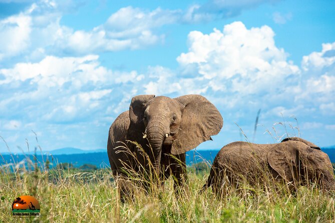 8 Days Gorillas, Primates & Wildlife Safari Uganda Safari - Day 3: Crater country and Queen Elizabeth National Park