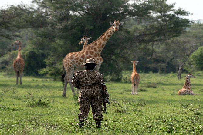 8 Days Uganda Primates Safari - Why this Uganda safari offers good value