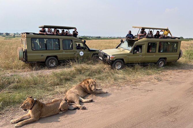 9 Days Uganda Wildlife Safaris, Gorilla Trekking & Hiking - Entebbe arrival and a calm first night