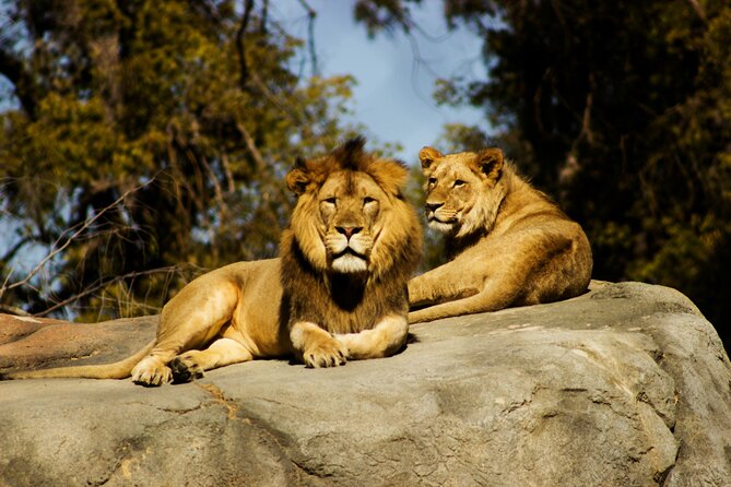 9 Days Uganda Wildlife Safaris, Gorilla Trekking & Hiking - The long transfer to Kibale Forest