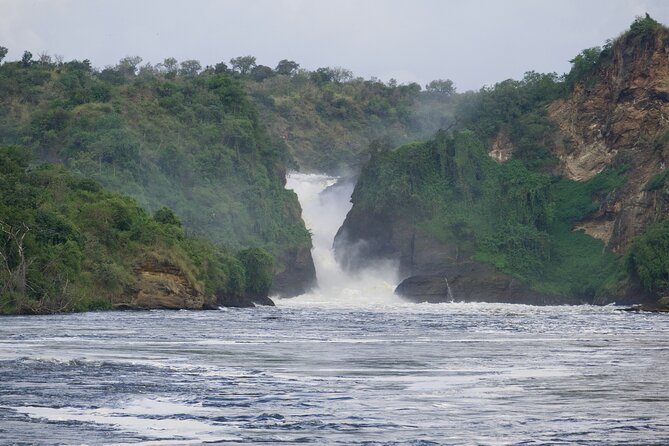 9 Days Uganda Wildlife Safaris, Gorilla Trekking & Hiking - Kibale chimpanzee tracking at Kanyanchu