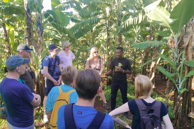 Coffee Tour Experience - William and the Discover Sipi Team