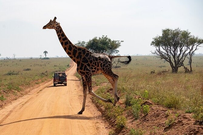 Entebbe Airport pickup (Entebbe - Kampala) reliable 24/7 transfer - Vehicle comfort, safety, and the small details