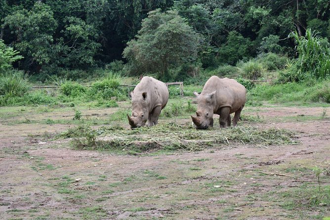 Entebbe Eco Tour - Full Day - Kigungu Adds Uganda’s Religious Story