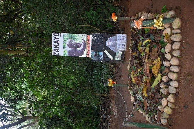Entebbe Eco Tour - Full Day - Timing, Transport, and What to Bring